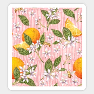 Ojai Oranges-Pink Moment Sticker